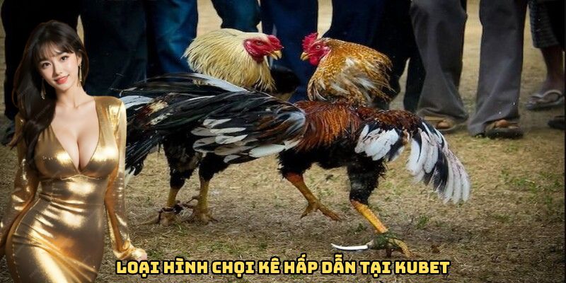 Đá gà Kubet được người chơi ưa thích nhờ ưu điểm